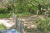 This fence line shows the ground shift in 1906