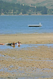 Future beach bums?