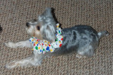 Reggie the clown