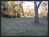 View from the patio 2006