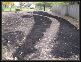 Seeded and mulched