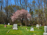 Sprout Cemetery