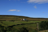 Pye Close