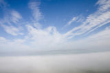 misty morning.jpg