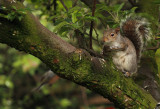 hes after me nuts!