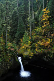 Punch Bowl Falls, Autumn upper study