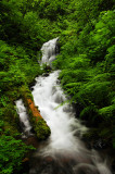 Upper Munra Creek Waterfall #4, Study 3