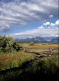 Late Summer in the Tetons