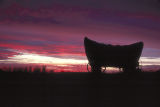 Covered Wagon at Sunset