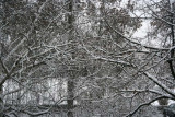 22nd November - First attack of winter