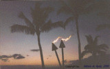 Hula, Maui  Antonio DE MORAIS  2000.jpg