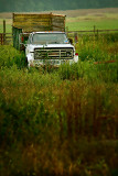 060826_0077_VW5A1480-Edit.jpg