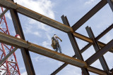 June 13, 2008 - Steelworker