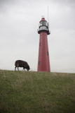 Hoek van Holland hoog