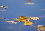 Yellow And Blue