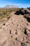 Rocks And Dust