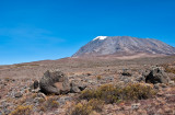Mt. Kilimanjaro And Stone Head