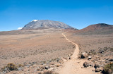 Trail Through Semi-desert