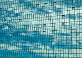 Sky In The Net