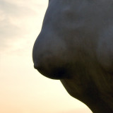Statue Bust