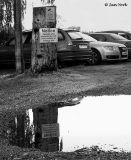 Reflective Days