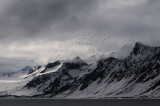  Birds and clouds.