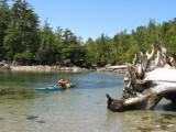 IMG_0712WEB.jpg