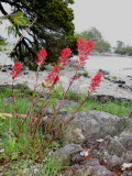 IMG_0729WEB.jpg
