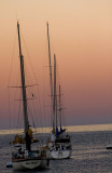 sail boats, catalina island, LA