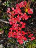 J3S_0320p.jpg