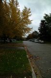 DSCF4766.jpg