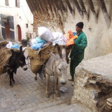 Ramassage des ordures dans la Casbah dAlger