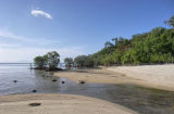 Beach, ocean, mangroves IMGP0683