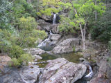 Little Crystal Creek (Lara Fine)