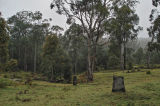 surroundings of camping area (Jaime Malo)