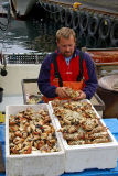 Crab sale