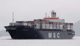 MSC Ayala