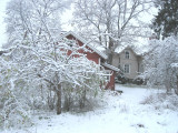 Wish That Was My Yard..:)