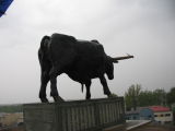 The Bull