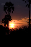 Zambian Sunset.