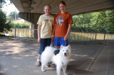 July 29, 2008