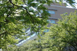 June 10, 2008