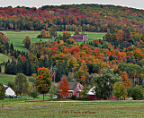 Fall colors