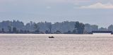 Fishing on the lake