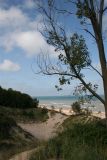 dune beach.jpg