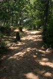 dune trail.jpg