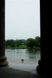 gull at museum.jpg