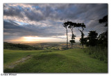 Chanctonbury Ring