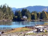 Driftwood at Whiffen Spit near Sooke (Tsou-Ke)