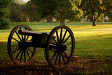 Cannon